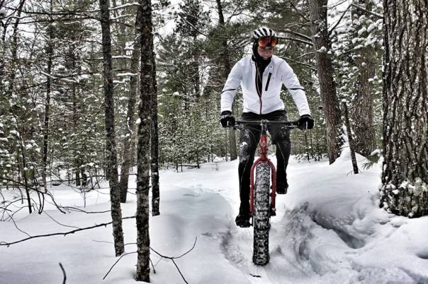 995296_583319535080386_532236012_n