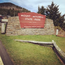 tumblr_nmpqrvlIzn1qi7lhio1_500