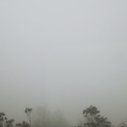 tumblr_nmrmilKQWV1qi7lhio1_540