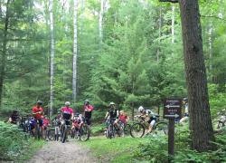 11752453_10205668684493614_2101490662988367114_n