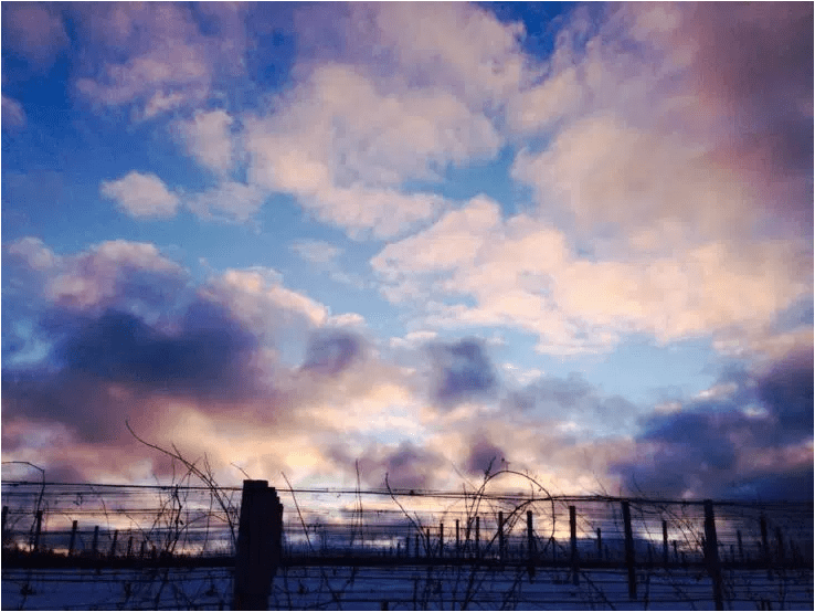 screen-shot-2017-02-14-at-3-33-29-pm